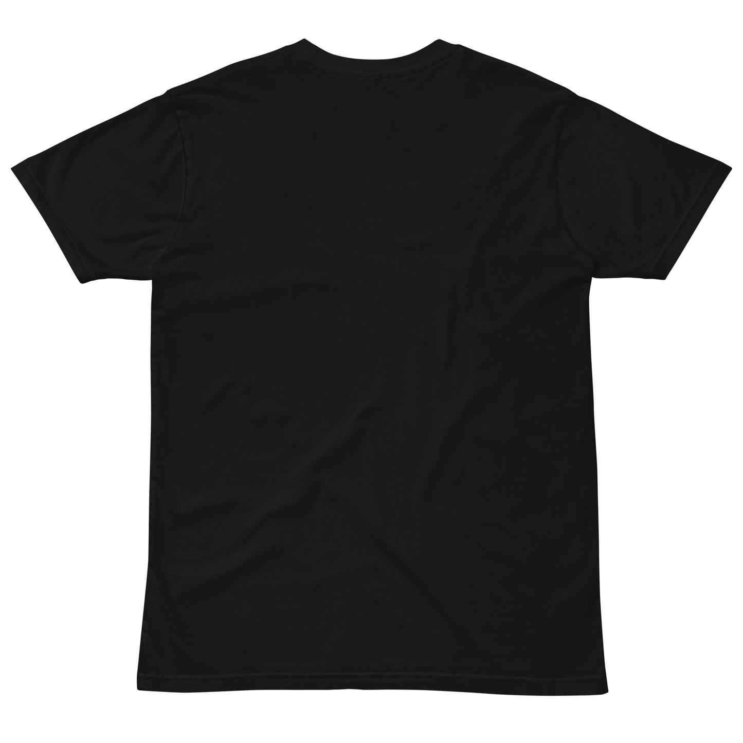 Unisex DELFO t-shirt
