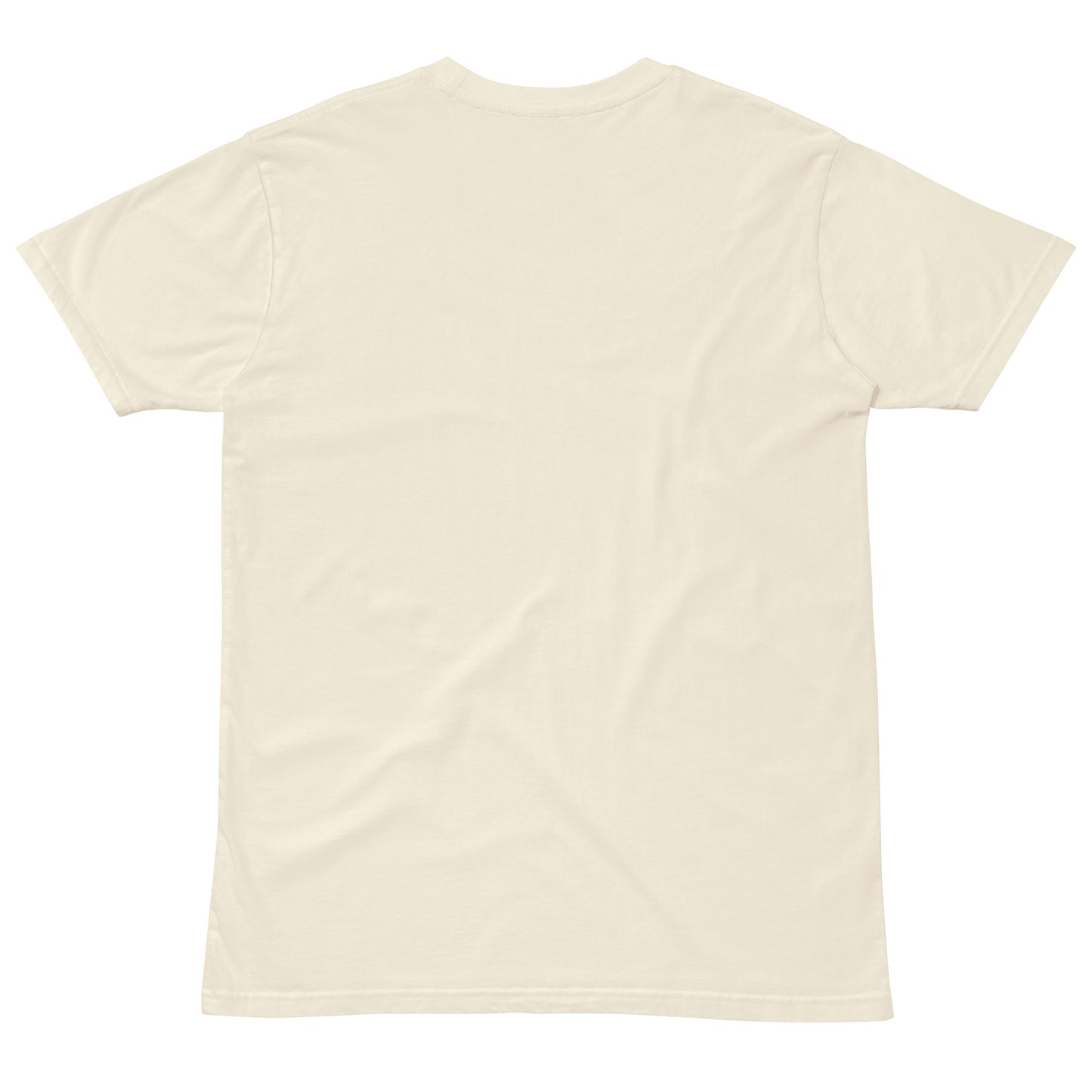 Unisex DELFO t-shirt